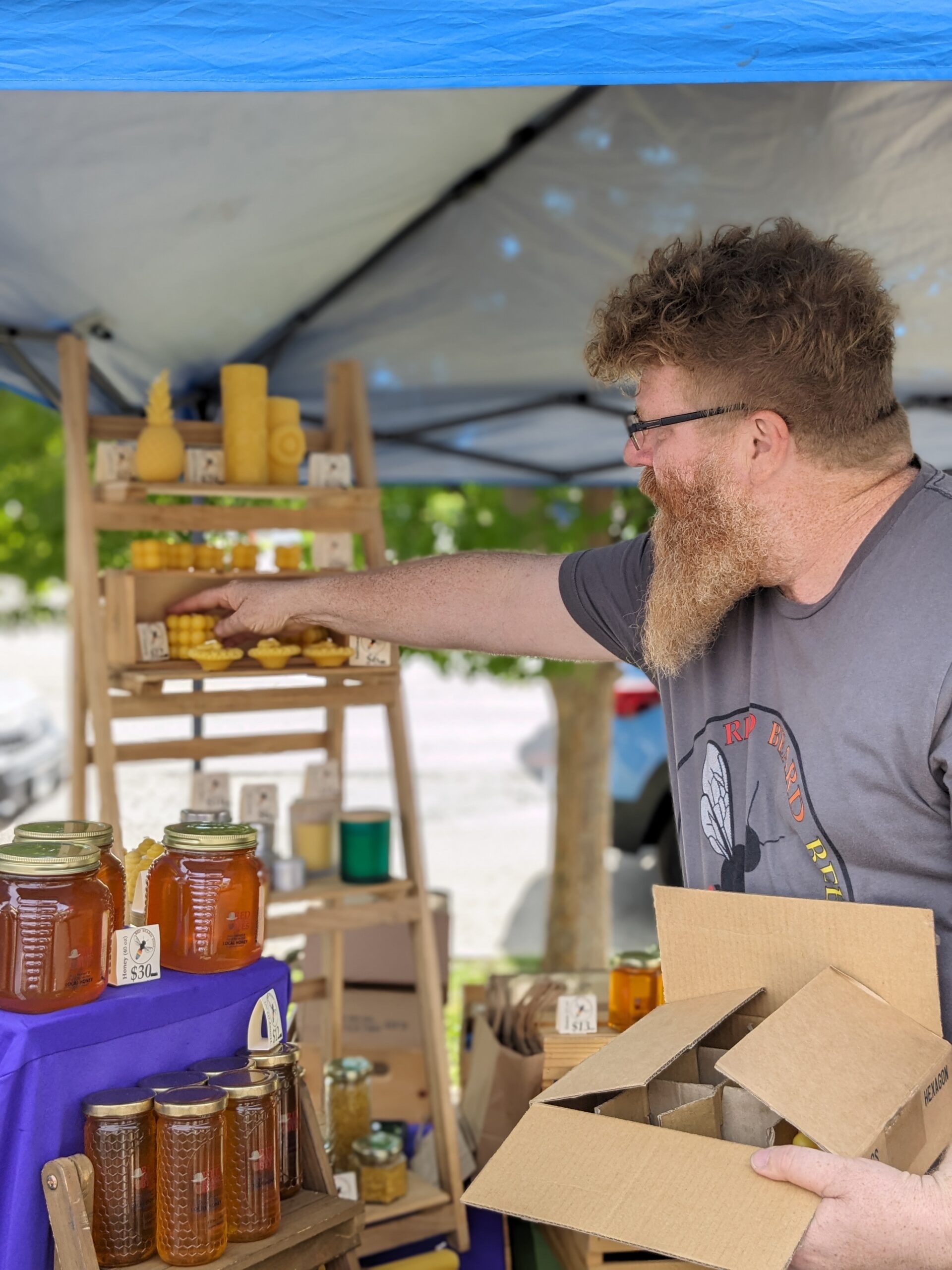 Red Beard Bees