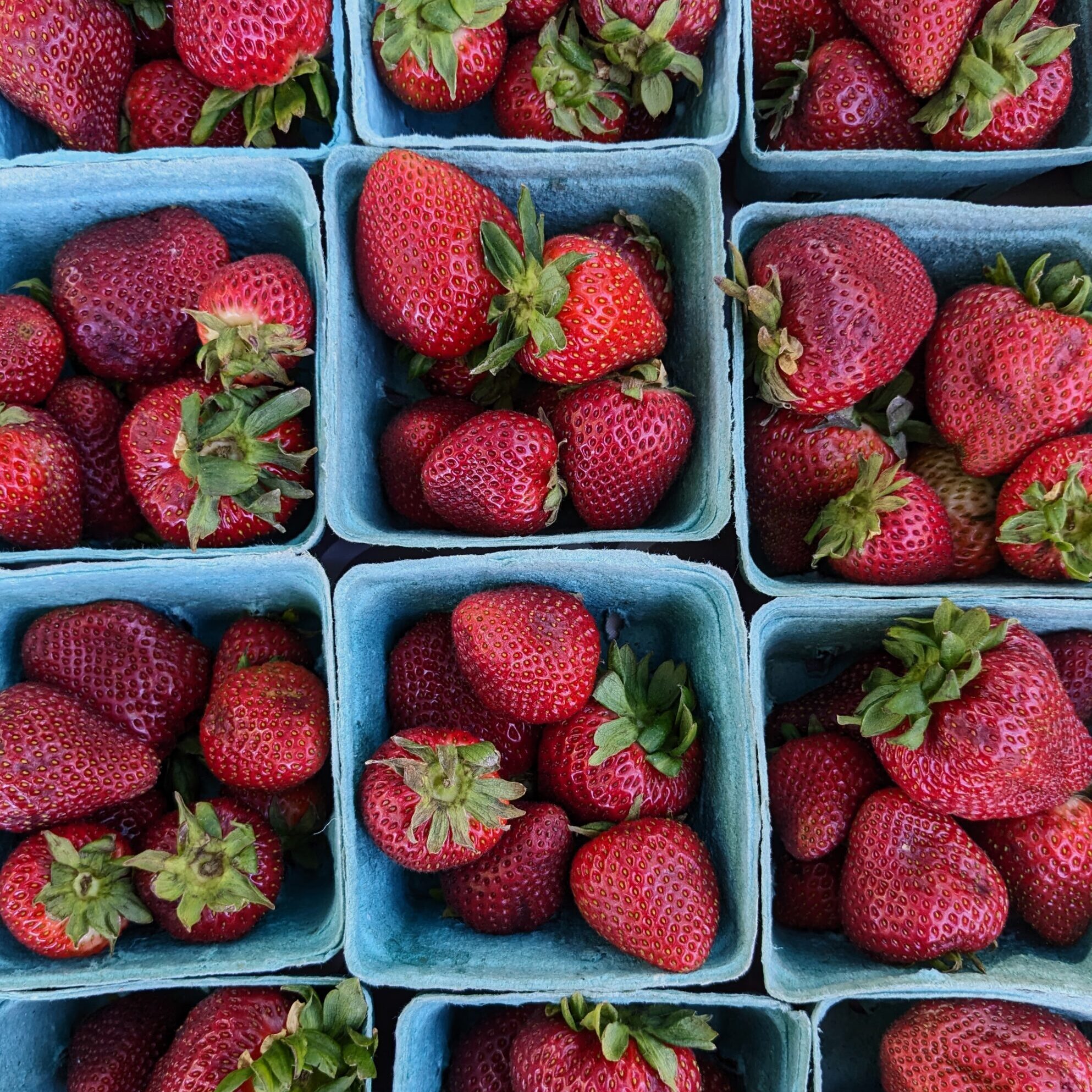 strawberries